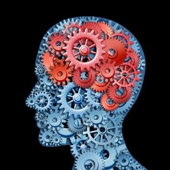 brain2